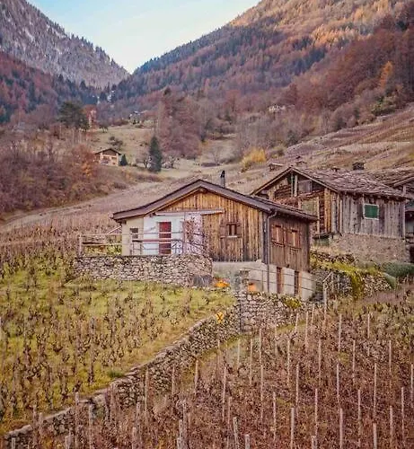 Alpine Bliss - Cozy With Panoramic Views シャレー